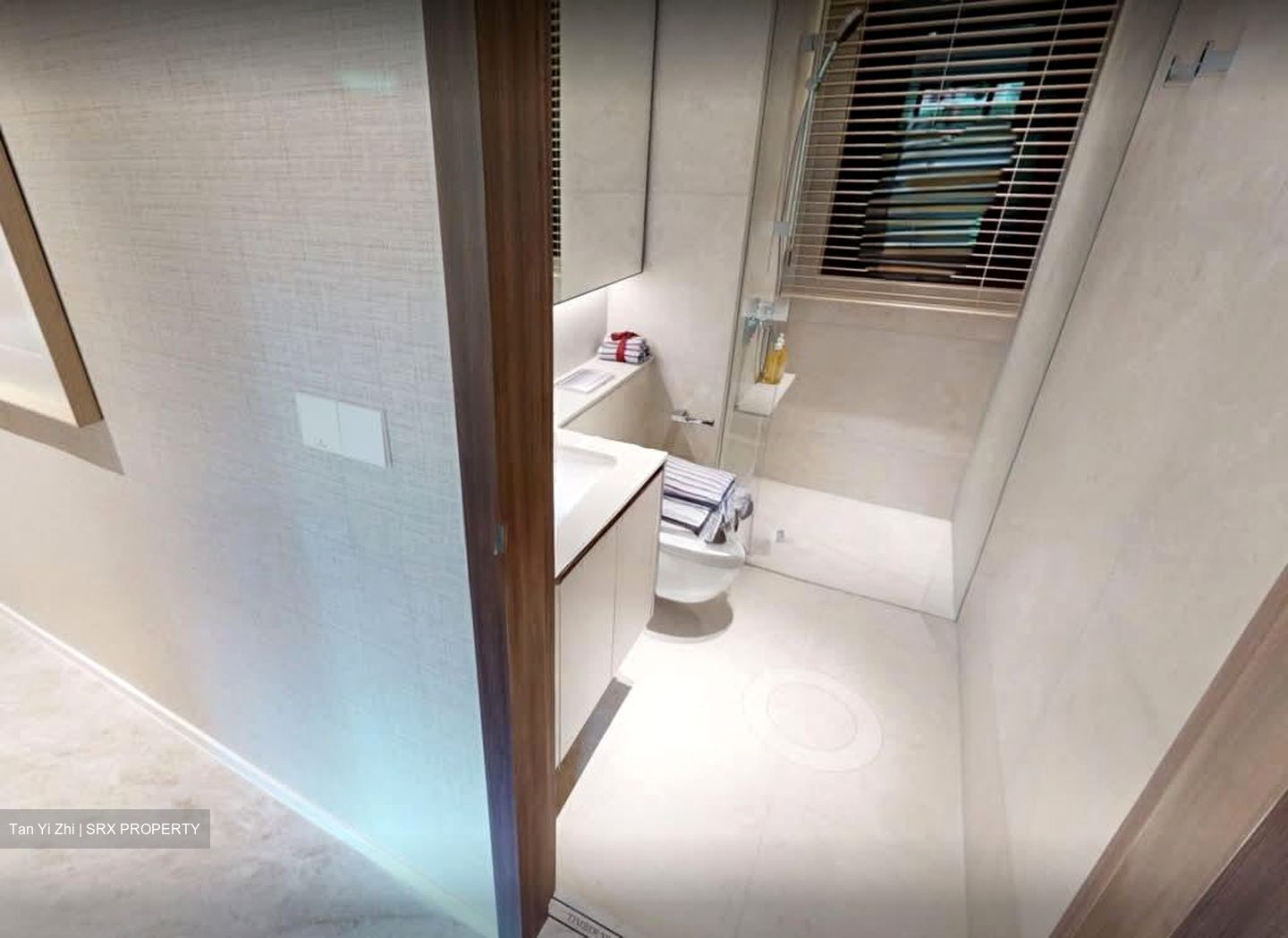 Dunearn Road (D11), Condominium #591296281